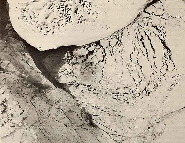 Edited by Donald W. Hood and John A. Calder' (1981)