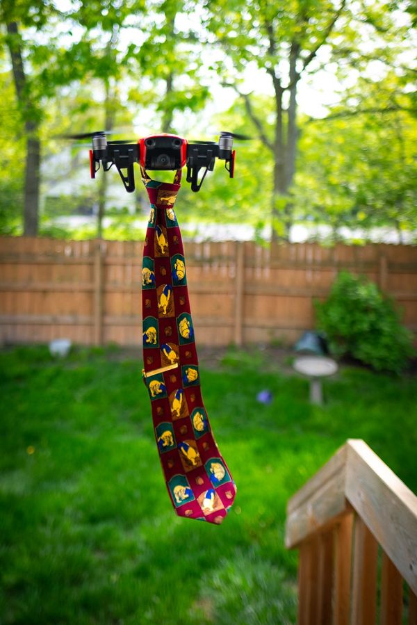 Pretty Tie for a Fly Guy - Iron Photographer 282 - Utata