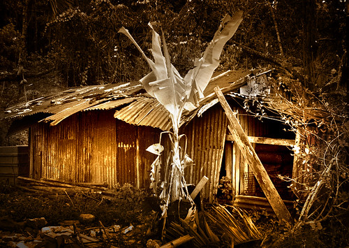 Year 2007: Pulau Ubin. Offshore Island of Singapore. The neglected Island.