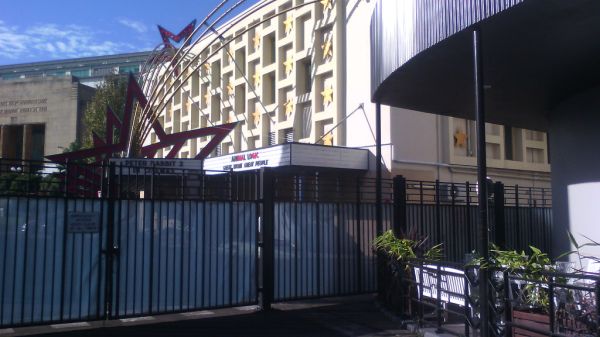 ANIMAL LOGIC STUDIOS