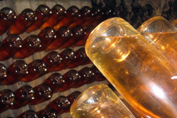 California - Calistoga: Schramsberg Vineyard - Pupitres