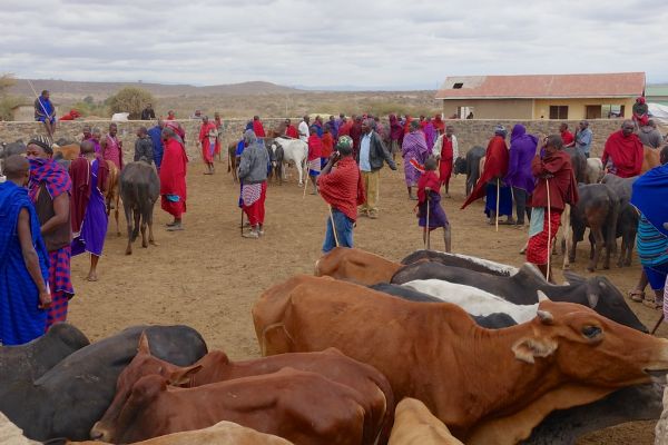 African safari, Aug 2014 - 001