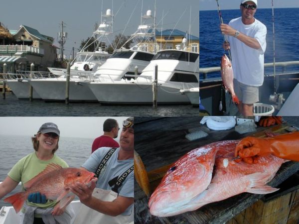 Gulf Offshore Rec Fishing Permit