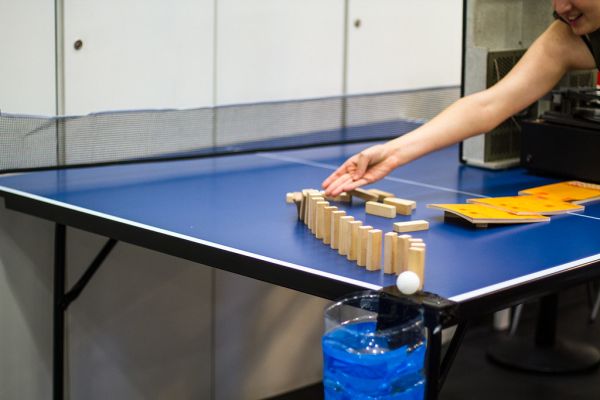 TODOS SOMOS COYOTES: TALLER DE VERANO PARA JÓVENES