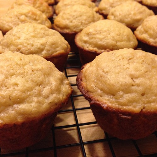 The (mini)muffin man? The (mini)muffin man? #muffins #minimuffins #oatmealmuffins #food #foodporn #foodphotography #nom #yum