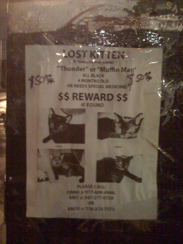 thunder or muffin man