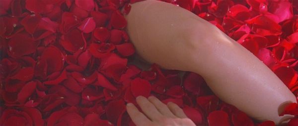 American.Beauty.1999.BluRay.1080p.DTS.x264-CHD_2012-4-3 上午2.32.58