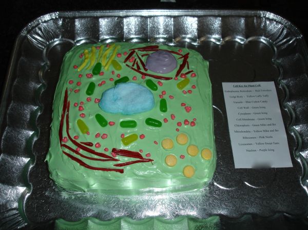 Plant Cell Cake