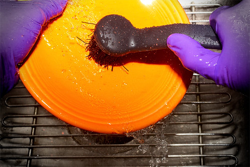 Colorful Scrub - Iron Photographer 143 - Utata