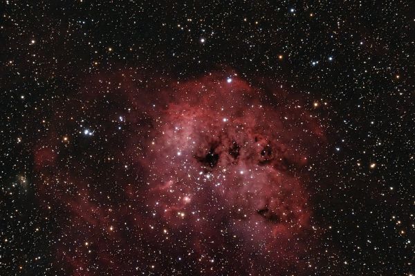 IC410 Tadpole_Nebula