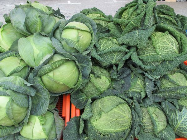 Mercado de verduras en Brno - República Checa