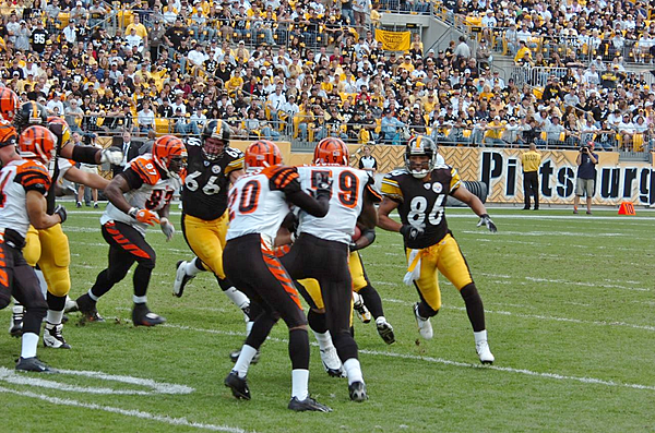 Bengals at Steelers MRR 0215