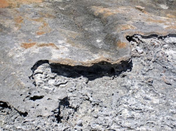 Calcrete paleosol (Green Cay, offshore San Salvador Island, Bahamas) 3