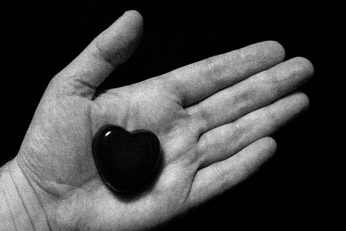 Glass Heart - Iron Photographer 187 - Utata