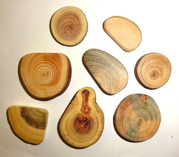 Wood jewelry supplies findings, jewelry making parts, jewelry crafts natural wood