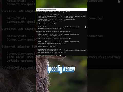 How to Reset or Change IP Address