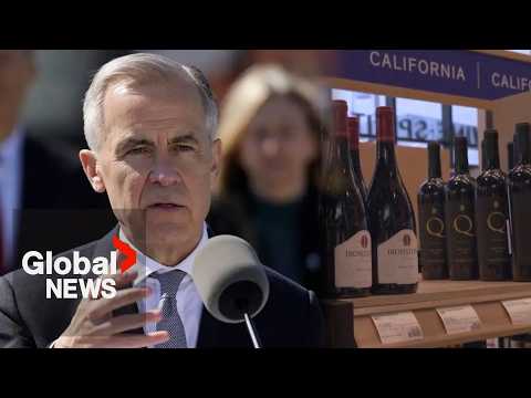 Carney calls US tariffs "more than irritants, those are violations of our trade deal"