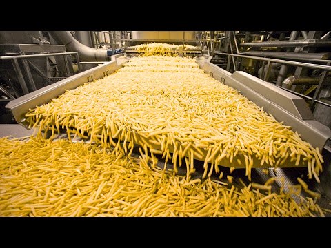 How French Fries Is Made