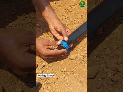 💥Rain pipe irrigation!👌🏻 #farming #agriculture #rainhose #irrigation