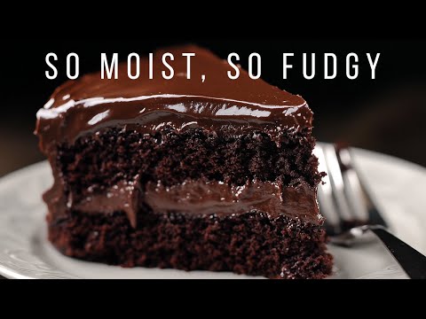 Moist &amp; Fudgy Chocolate Cake with Everyday Ingredients