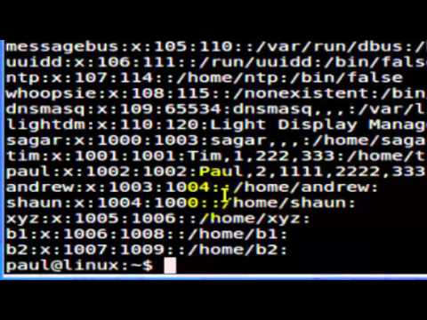 How to read the etc passwd file in Linux Shell terminal