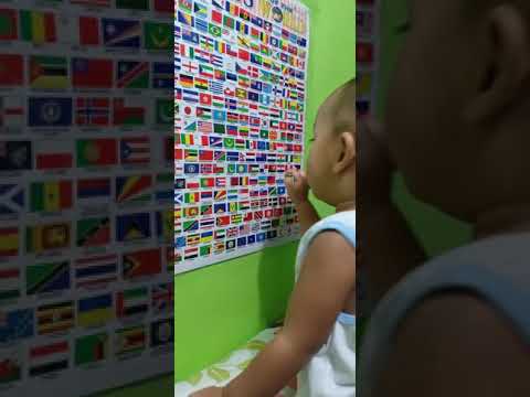 Flags of the world(1y/o👌🏻)☺️   #flags #flagsoftheworld #kids #kidsvideo #smart #smartbaby #toddler