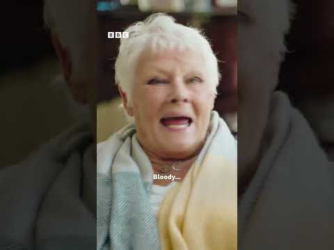 Louis Theroux ‘offends’ Judi Dench - BBC