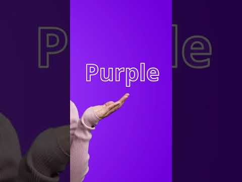 🌈 Learn Colors in English &amp; Spanish with Miss Maria! 🎨✨