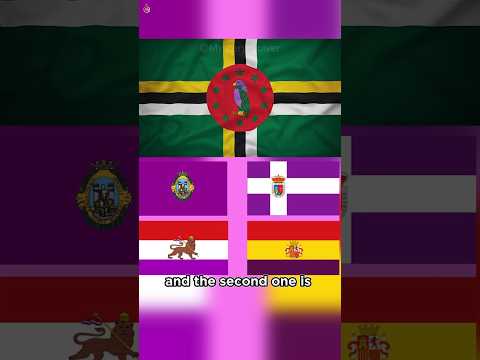 Why don't any countries have a purple flag? #shorts