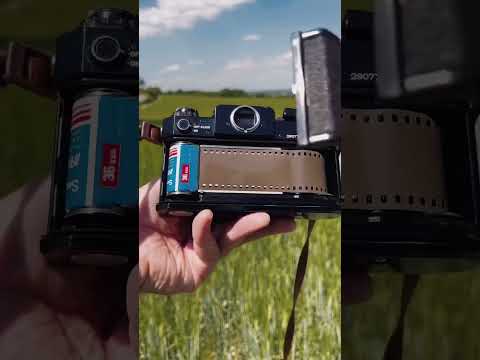 Shooting 1991 Expired Film 🎞️