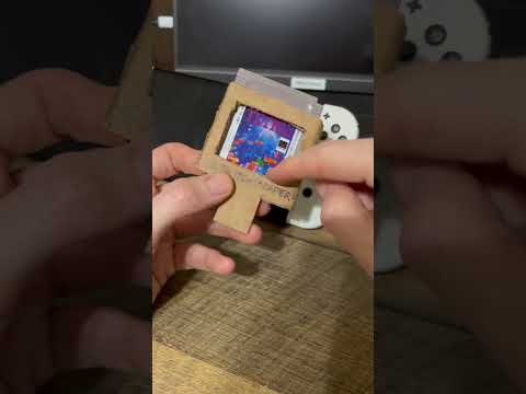 The Game Boy / Nintendo Switch Adapter