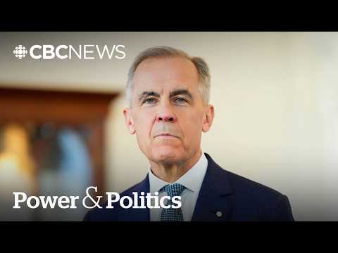 Carney won't be 'chasing a small deal' with Trump: CBC News exclusive | Power &amp; Politics