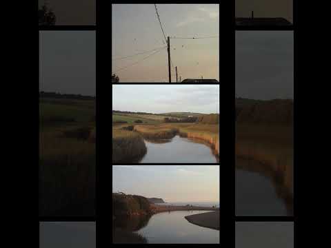 This Old Camcorder Has So Much Character! #minidv