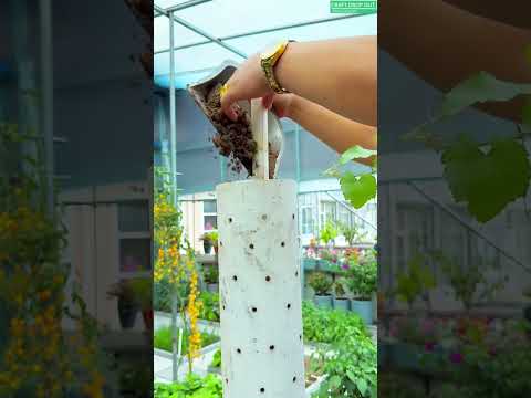 DIY Vertical Pipe Garden Made Simple! #plants #shorts