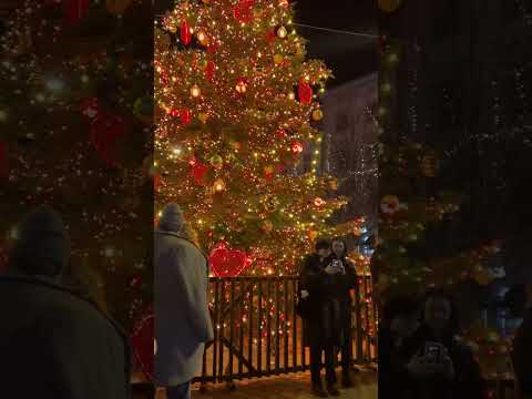 Christmas in Brno 🍷🇨🇿✨beautiful #christmas celebration and #christmastree #brno #czech #prague 🌟