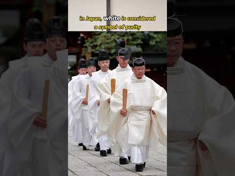 Color Perception in Different Cultures