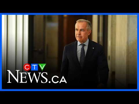 Canadians weigh in on Mark Carney’s first year as prime minister