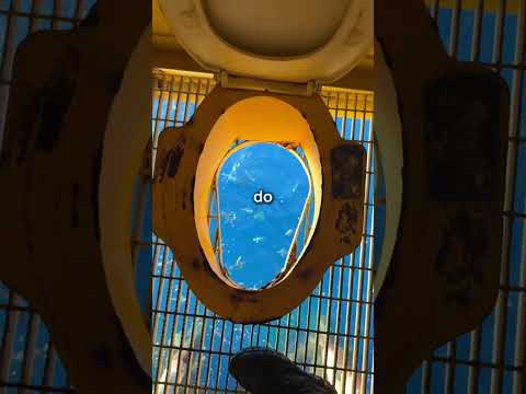 My first week working in fifo offshore 🤝💰🇦🇺 Insta in the bio for more #fifo #mining #australia