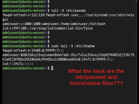 Linux /etc/passwd and /etc/shadow files | Linux User Management